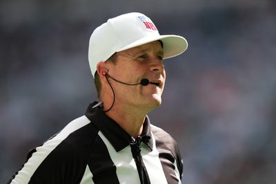 Referee Shawn Hochuli just wants everybody to shut up