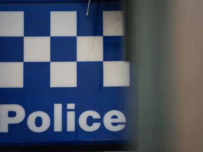 Two police officers charged with assault