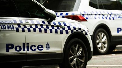 Victoria Police officers charged with assault following incident during arrest in Narre Warren South
