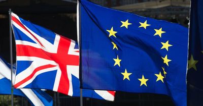 Was the UK right to vote for Brexit? Have your say in our poll