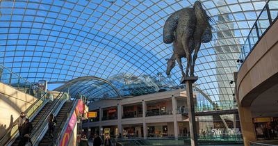 I visited Leeds' bustling shopping centre and can't understand why some think the city will become a 'ghost town'