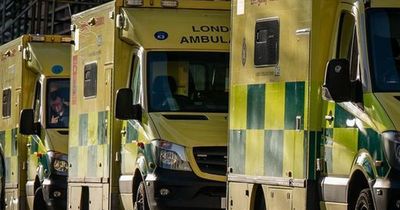 Rapid research projects awarded £800,000 'to tackle NHS winter crisis using AI'