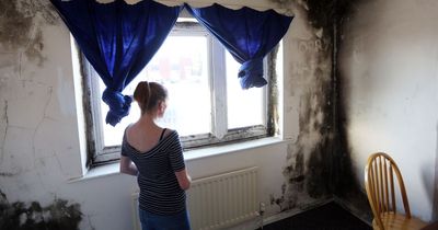 'It's appalling' - Gateshead domestic abuse survivor's fresh start blighted by mouldy flat