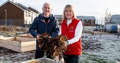 Green-fingered Newtownabbey folk digging in at Monkstown Community Garden