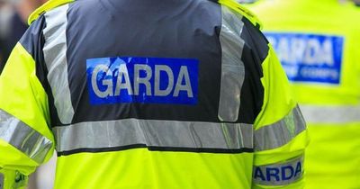 Man who allegedly bit garda's finger off in horror arrest incident charged