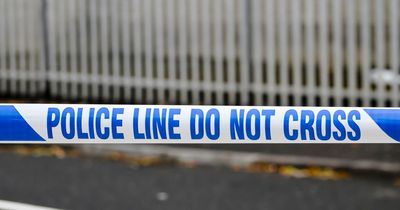 Two officers injured during 'vicious attack' in Co Tyrone