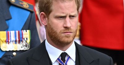Prince Harry's agoraphobia battle: Signs, symptoms and how best to treat disabling condition