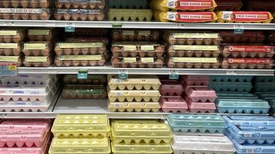 Egg price relief hasn’t hit consumers' wallets despite cost “ease”