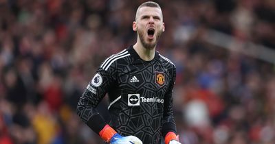 Louis Saha names 'perfect' David De Gea successor at Manchester United