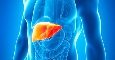 'Scientists find leprosy bacteria could be force for good - by regrowing damage livers'