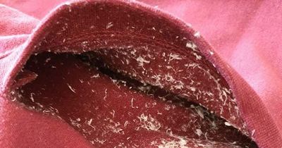 Mrs Hinch fans share cleaning hack for clothes with leftover tissue in pockets