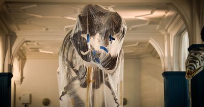 Expect dinosaurs and much, much more when Manchester Museum fully re-opens after £15m five-year revamp
