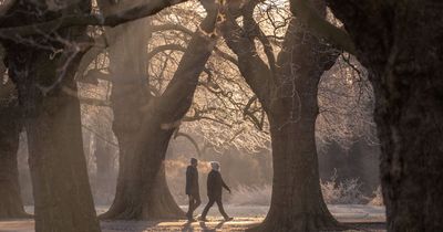 UK weather: Cold snap now forecast to continue despite reports it would come to an end