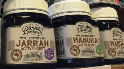 Australian manuka honey producers score legal win over New Zealand producers in Europe, UK