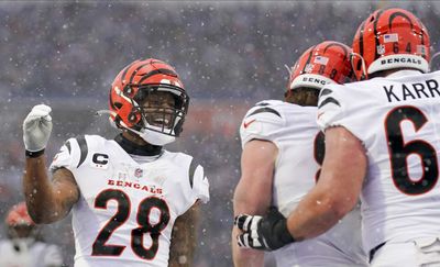 NFL fans had lots of jokes about the Bills not being able to see the Bengals’ white jerseys in the snow