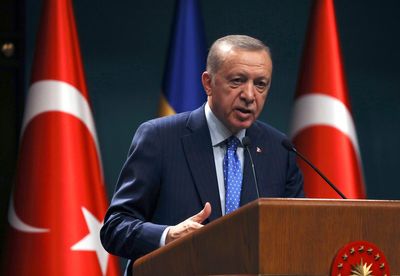Erdogan announces Turkish elections to be held on May 14
