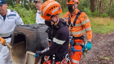 Illawarra bushwalker discovers dog in kennel at bottom of cliff; police investigating