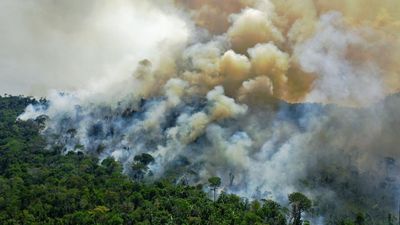 Brazil's Lula seeks to reverse Amazon deforestation