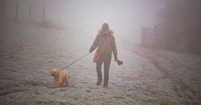 Snow maps reveal latest forecast in your area as Met Office predicts freezing fog
