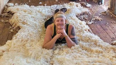 Interest in shearing, wool handling soars in Australia as training classes fill up