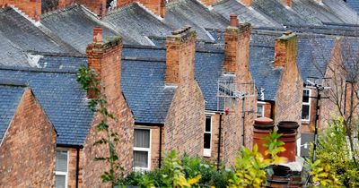 National Grid to pay UK homes to cut their electricity tonight in emergency scheme