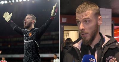 Arsenal fans left stunned as Man Utd's David de Gea backs up pre-match claim