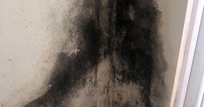 Mum says her kids are struggling to breathe and one is 'going deaf' due to mouldy flat