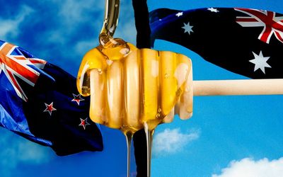 Sweet justice for Aussie beekeepers as NZ lobbyists lose another fight over Manuka honey