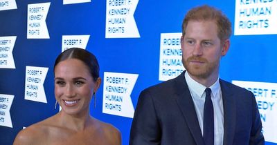 Meghan Markle may have raised 'gentle concerns' about Prince Harry's memoir, says source