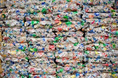 Is plastic recycling a scam? Here’s the truth about the common practice