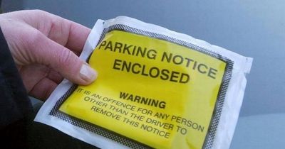 What should you do if you get a parking ticket and do you have to pay?