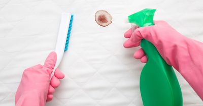 Expert says £1 item banishes mattress stains and 'avoids them getting bigger'