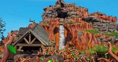 Splash Mountain at Disney World shuts as punters queue for last day at major attraction