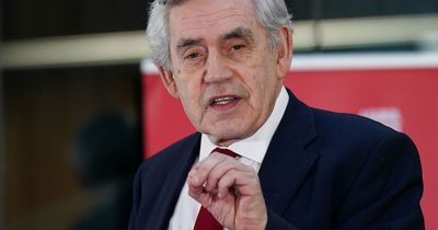 Tories 'testing the water' for two-tier NHS, ex-PM Gordon Brown claims