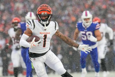Bengals snap count takeaways from playoff win over Bills