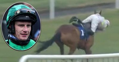 Paul Townend saves dozens of accas with incredible recovery riding Cheltenham favourite
