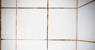 Woman finds 'satisfying' £20 hack for cleaning grout after being quoted £300 for pro job