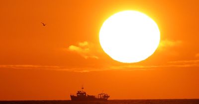 UK fishing fleet backed by Orsted to help clean up North Sea marine litter