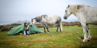 Dartmoor wild camping ban shows why Britain needs a universal right to roam