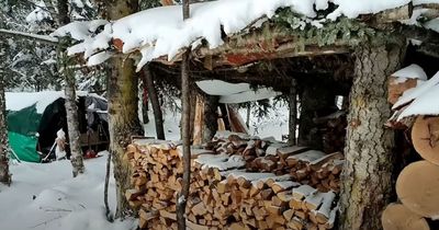 Russian man swerves Vladimir Putin's draft by living off-grid in a freezing forest