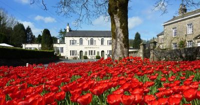 Pub famous for its pies and less than 90 minutes from Manchester crowned best gastropub in UK