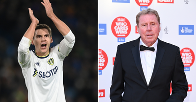 Harry Redknapp hails Leeds United's 'very good bit of business' in the January transfer window