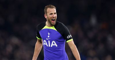 Tottenham fans' brilliant chant as Harry Kane levelled Jimmy Greaves’ scoring record