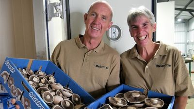 Mushroom startup boom prompts industry to develop new food safety program