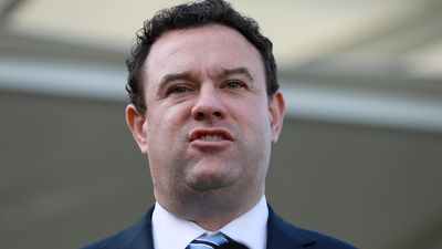 Dominic Perrottet says he will bring Stuart Ayres back to frontbench if government re-elected