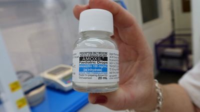 AMA calls for medication plan amid amoxicillin antibiotic shortage