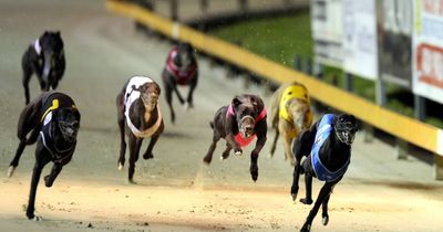 Newcastle Greyhounds Racing Club facing change