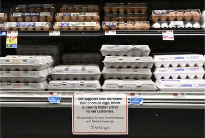 Egg industry accused of organized theft