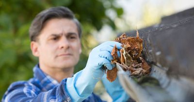 Expert warns of cold weather gutter mistake that can cause damp - and how to fix it