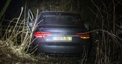 Pictures show dramatic aftermath of crash as Audi ends up in ditch